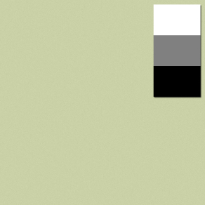 Colorama Hintergrundkarton 1,35 x 11m - Fern