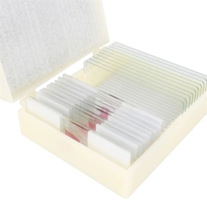 Konus Preparate Set Biology, Cell and Animal Tissue (25 Stk.)