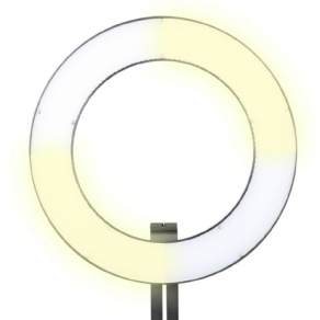 Falcon Eyes Bi-Color LED Ringlampe Dimmbar DVR-384DVC auf 230V